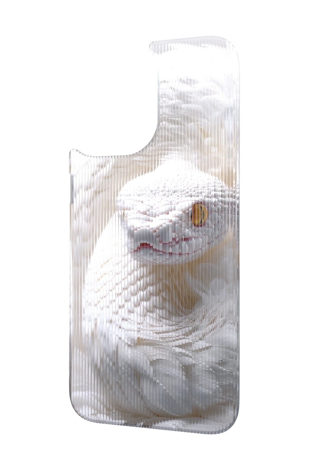 Feathered Serpent Backplate for iPhone 17