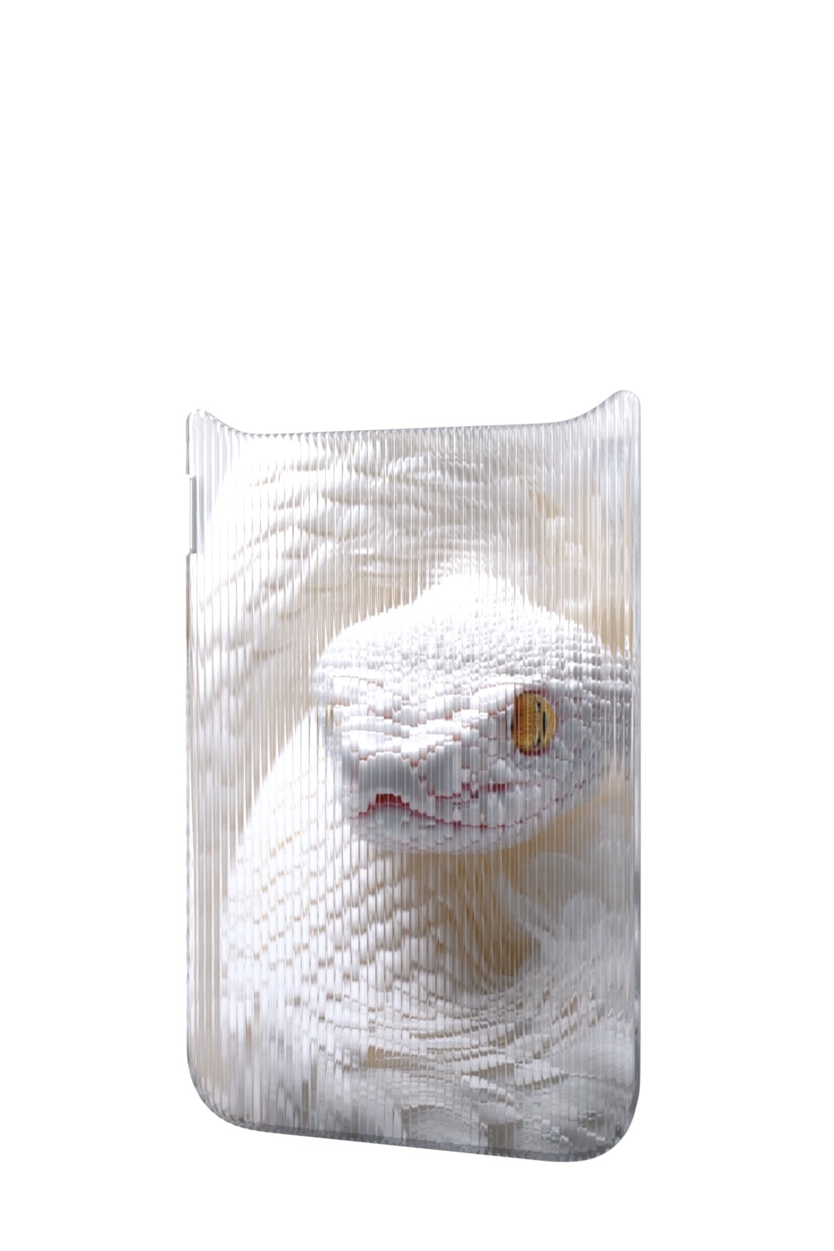 Feathered Serpent Backplate for iPhone 17 Pro
